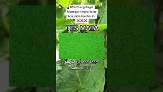 TES MATA, 95% ORANG GAGAL MENEBAK ANGKA YANG ADA DIGAMBAR INI #shorts #fyp #fypシ #tesmata #brainout