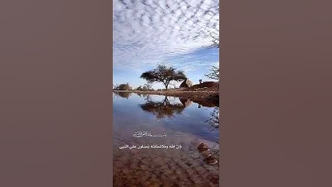 إن الله وملائكته يصلون على النبي - تلاوة رائعة بصوت جميل وشجي Quran