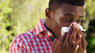 Seasonal Allergies: Which Medication is Right for You?