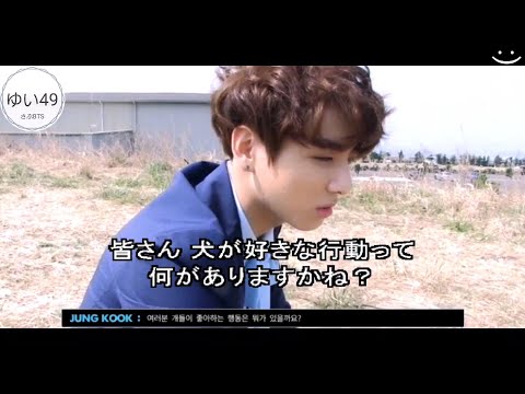 【BTS日本語字幕】犬～、一緒に遊ぼうよ～