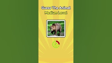 Can You Guess The Animal Name? #17