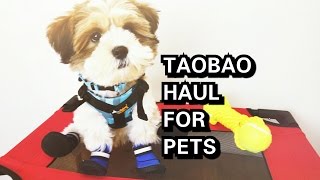 TOT 36: Pet Hauls 2016 (ft. Bucky)