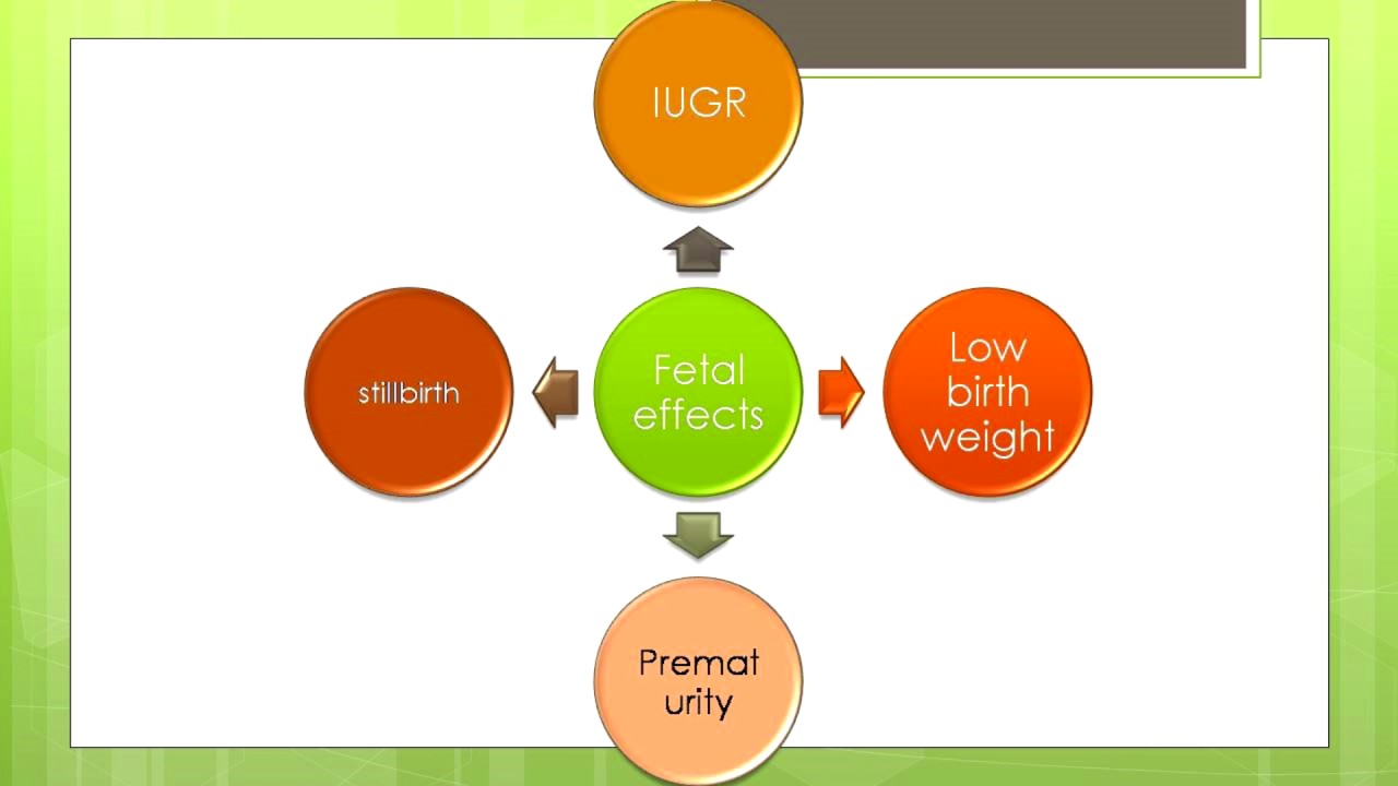 camera iphone 8 plus apk CCR - Shadow of Spleen Over Pregnancy