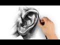 How to Draw Ears - Step by Step