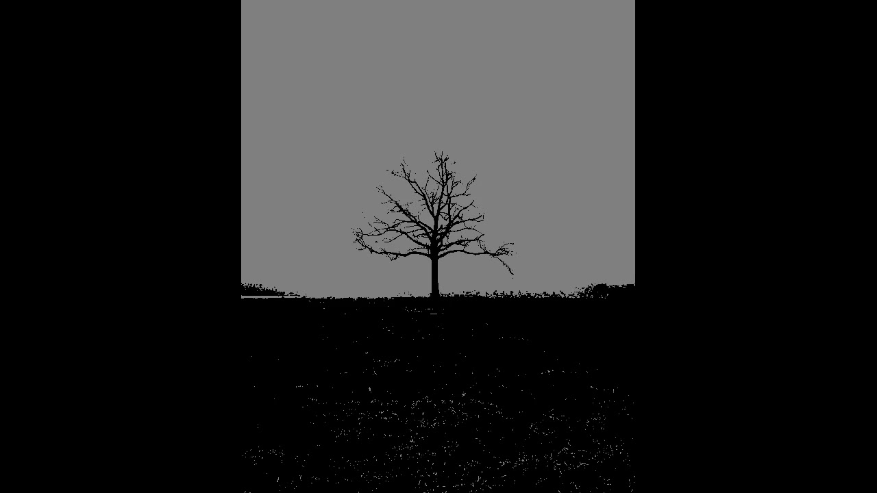 The Caretaker - Burning despair does ache (Slowed + Reverb)