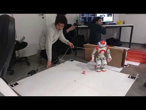 Student project: Nao The Constructor