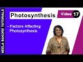 Photosynthesis | NEET | Factors Affecting Photosynthesis | Neela Bakore Tutorials