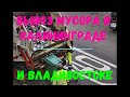 Вывоз мусора в Калининграде и Владивостоке, или что дворники не убрали съели собаки .