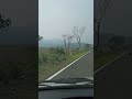 Road Trip Road Trip