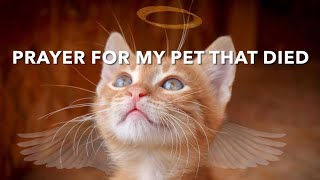 Prayer for My Pet That Died