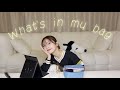 バックとポーチの中身紹介するニダ❕🎒