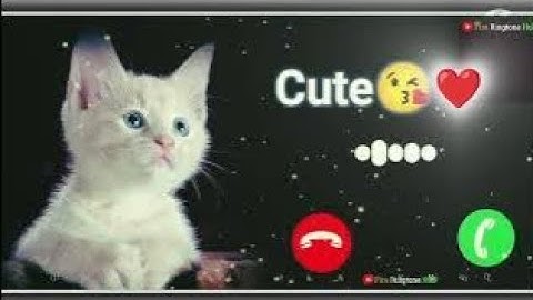 cute baby ringtone new notification tone message ringtone SMS tone Love Ringtone download Now