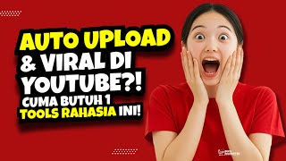 Youtube Uploader Software Best YouTube Marketing Tools Uploader & Scheduler screenshot 2