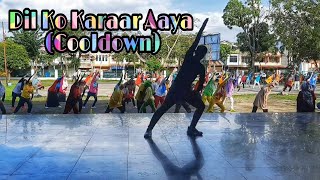 Dil Ko Karaar Aaya || Cooldown || Bollywood Song || Happy Role Creation
