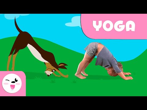 Video: Con quali animali puoi fare yoga?