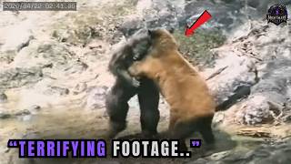 17 NEW Bigfoot Sightings That Are Impossible to Explain On Camera | Scary Comp. V119