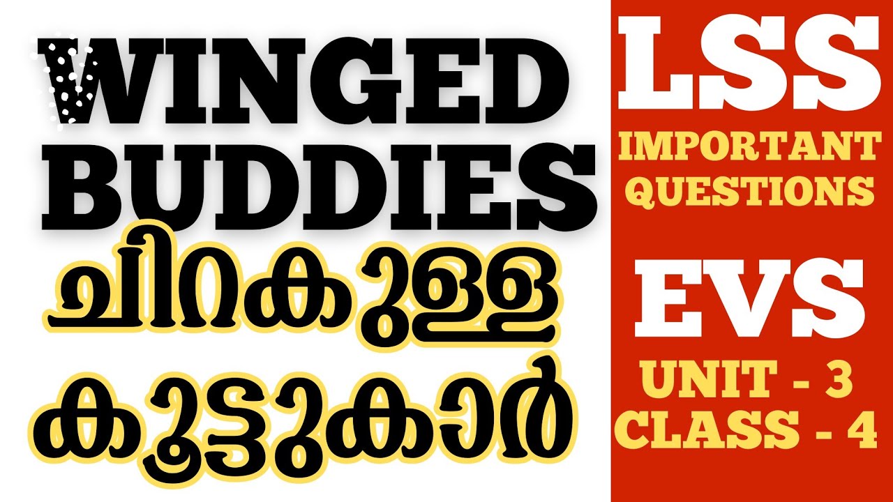 Winged Buddies | ചിറകുള്ള കൂട്ടുകാർ | Science Quiz | important LSS questions from winged bodies