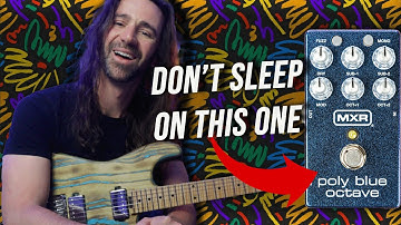 Secret Weapon For MASSIVE Tones || MXR Poly Blue Octave