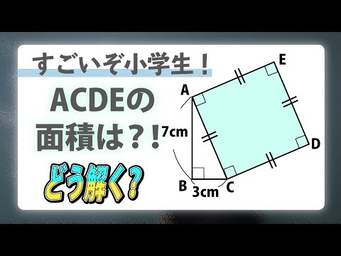 面白い算数問題 小学生の知識だけで解いて 中学入試 算数 図形 専修大学松戸中 Xanh Cn