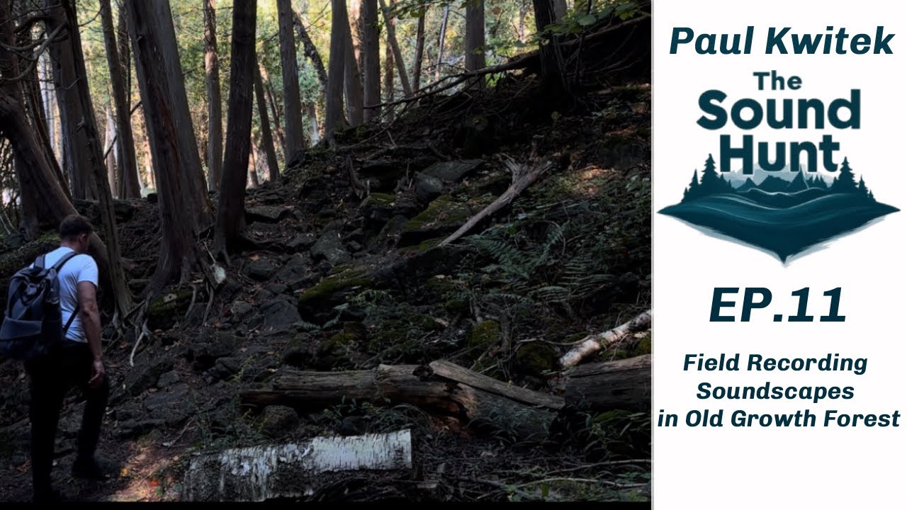 The Sound Hunt EP.10 Field Recording soundscapes in Old Growth Forest.