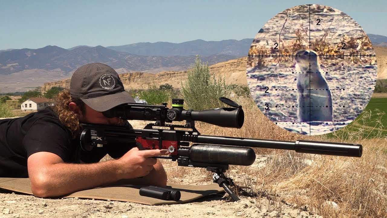 ⁣Critter Carnage in Central Utah