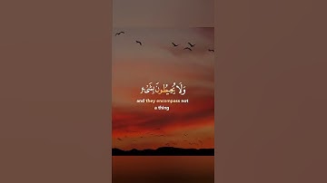 القرآن الكريم آية الكرسي _تلاوة مؤثرة حالات واتس| القارئ إسلام صبحي