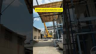 dzl biomass steam boiler installation #boiler #machine