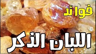 فوائد اللبان الذكر او الكندر فوائد مذهلة لا تحصى