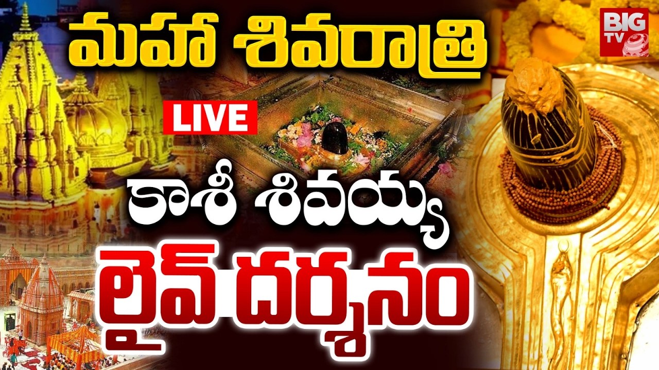 Mahashivratri Kashi Vishwanath Live Darshan: కాశీ శివయ్య దర్శనం | Kashi Shivalingam Darsham | BIG TV