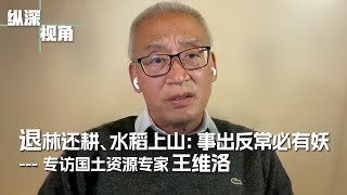 退林还耕、水稻上山：事出反常必有妖——专访国土资源专家王维洛