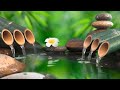 Relaxing Music, Healing Music, Meditation Music, Spa Music, Sleep, Zen, Study Music, Yoga, Calmmusic