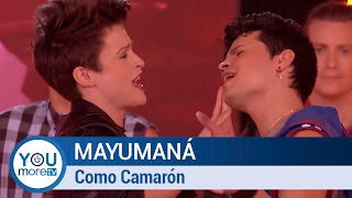 Video thumbnail of "Mayumaná - Como Camarón"