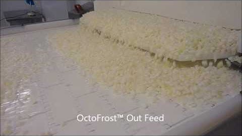 OctoFrost™ IQF Frozen: Onion Diced