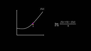 What is Differentiation? Wealth