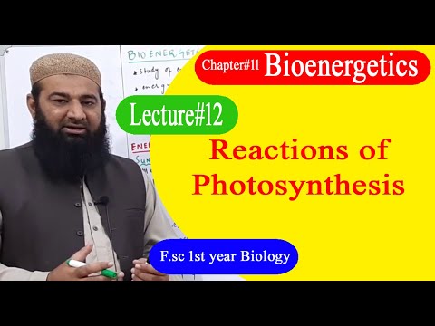 Biology Ch11-Lecture12 Reactions Of Photosynthesis