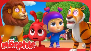 animal hypno mixup cartoons for kids mila and morphle