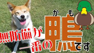 事前準備が、いちばんの交渉力【営業を回避するテクニック５選】