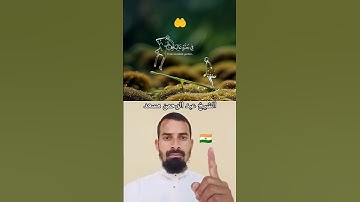تلاوة الخاشعة بصوت الشيخ عبد الرحمن مسعد 🌿📚🌿