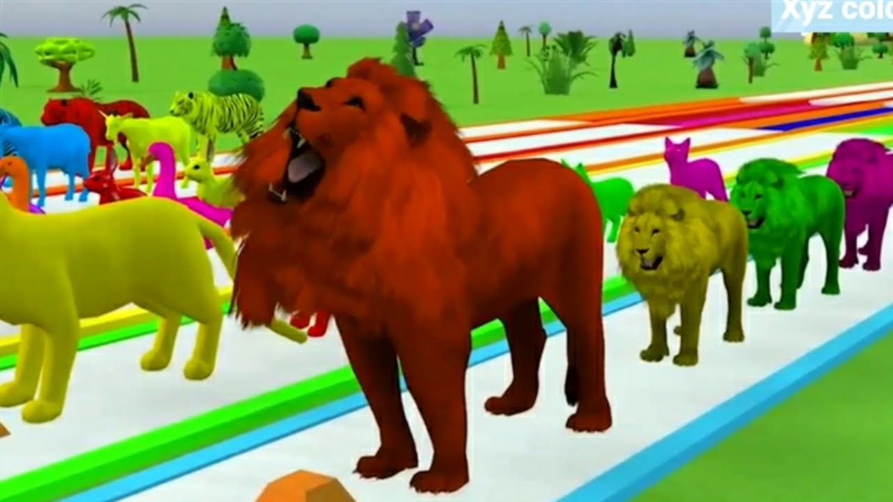 Discover the Secret World of the Colourful Lion - YouTube