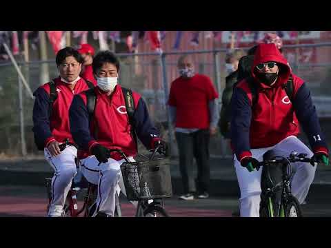 広島カープ 日南キャンプ恒例⁉️ カープ選手自転車🚲️徒歩🚶球場入り その②　 2023