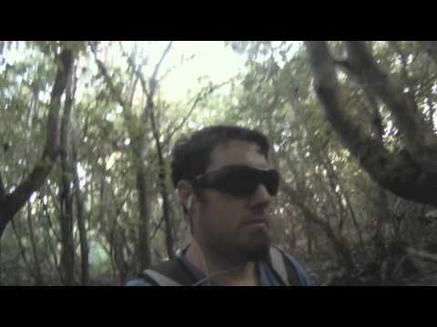 go pro kite boarding on herion island.wmv