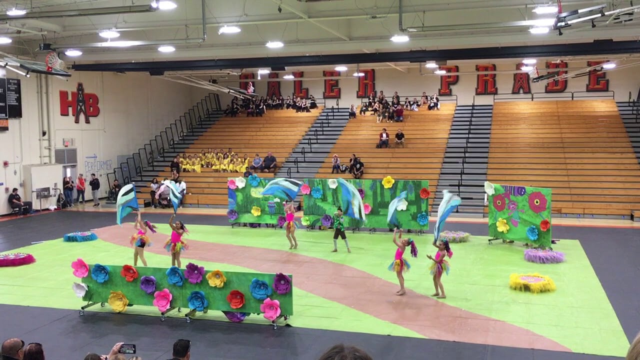 Lisa J Mails Elementary School Monarch Color Guard Can't Stop The
