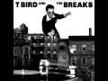 T bird and the breaks  twotone cadillac off learn about it