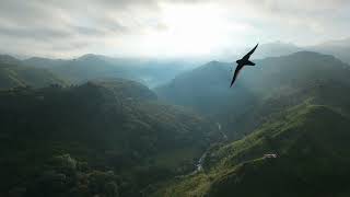 Ver Bana Dünyaları #cover #aicover #müzik