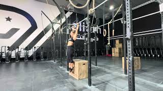 Box Arch Scap Pull
