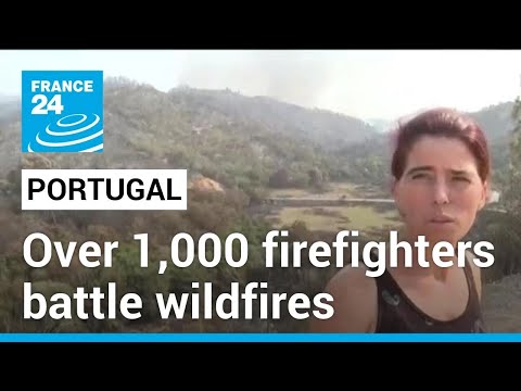 Portugal battles wildfires amid heatwave alerts • FRANCE 24 English