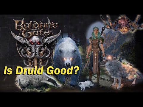 Baldur's Gate 3 - Druid Class - All Wild Shapes and Special Abilities