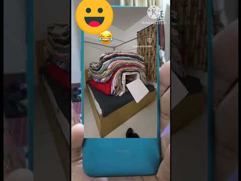 ليالي الشتاء الباردة إطلالات مصر شورت