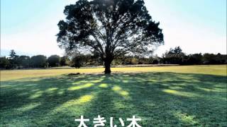 童謡 大きい木 Youtube 童謡 大きい木 Youtube