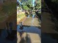 QUE PEIXE É ESSE? COMENTEM;?
